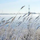 Business 3 image ROARING FORK MINERALS Real Estate Agents in Oklahoma City OK