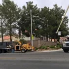 Business 3 image ROCKY'S TREE SERVICE Tree Trimming Service in Las Vegas NV