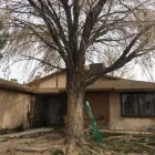Business 4 image ROCKY'S TREE SERVICE Tree Trimming Service in Las Vegas NV