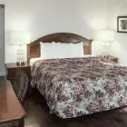 Business 37 image RODEWAY INN & SUITES Rodeway Inn in San Francisco CA