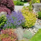 Business 1 image ROLLINS LAWNS Landscape Architects & Designers in Caldwell NJ