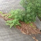 Business 27 image ROOFCRAFTERS-SAVANNAH Roofing Supply Store in Savannah GA