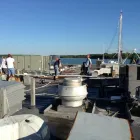 Business 45 image ROOFCRAFTERS-SAVANNAH Roofing Supply Store in Savannah GA