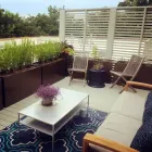 Business 2 image ROOFTOPIA Landscape Contractors in Chicago IL