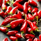 Business 12 image ROOSTER'S BAR & GRILL Barbecue Restaurants in Seattle WA