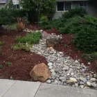 Business 1 image ROSA'S MAINTENANCE INC Landscapers in San Jose CA
