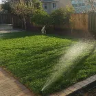 Business 4 image ROSA'S MAINTENANCE INC Landscapers in San Jose CA