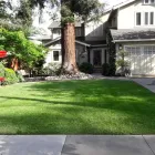 Business 12 image ROSA'S MAINTENANCE INC Landscapers in San Jose CA