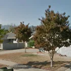 Business 13 image ROSA'S MAINTENANCE INC Landscapers in San Jose CA