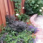 Business 14 image ROSA'S MAINTENANCE INC Landscapers in San Jose CA