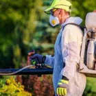 Business 1 image ROSALIE MANSION PEST CONTROL in Natchez MS