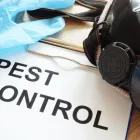 Business 1 image ROSE CITY TERMITE REMOVAL EXPERTS in Portland OR