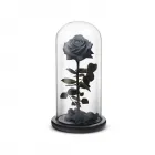 Business 1 image ROSEPHORIA Preserved Flowers in Los Angeles CA