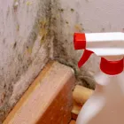 Business 3 image ROSES CITY MOLD INSPECTIONS in Portland OR