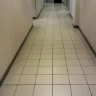 Business 4 image ROYALE TREATMENT COMMERCIAL CLEANING Lawn Care Service in Tucson AZ