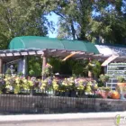 Business 2 image RUIBAL'S PLANTS OF TEXAS Plants in Dallas TX