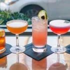 Business 3 image RUM & SUGAR Sugar in San Francisco CA