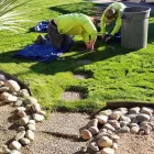 Business 1 image SAGUARO DESERT LANDSCAPING LLC in Tucson AZ