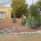 Business 7 image SAGUARO DESERT LANDSCAPING LLC in Tucson AZ