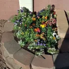 Business 10 image SAGUARO DESERT LANDSCAPING LLC in Tucson AZ