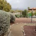 Business 11 image SAGUARO DESERT LANDSCAPING LLC in Tucson AZ