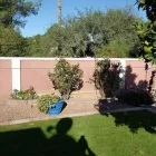 Business 12 image SAGUARO DESERT LANDSCAPING LLC in Tucson AZ