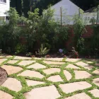 Business 4 image SALINAS LANDSCAPING Tree Service in Los Angeles CA