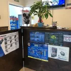 Business 36 image SAM AUTO REPAIR & COLLISION in Houston TX
