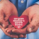Business 3 image SAMAJ SAVES LIVES in Walnut Creek CA
