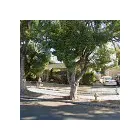 Business 5 image SAME DAY DUMPSTER RENTAL SAN JOSE in San Jose` CA