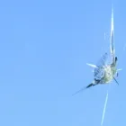 Business 1 image SAN GABRIEL VALLEY MOBILE AUTO GLASS Auto Glass Replacement in San Gabriel CA