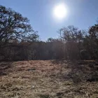 Business 1 image SANDERS UNLIMITED Land Clearing Company in Kingsland TX