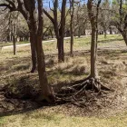 Business 3 image SANDERS UNLIMITED Land Clearing Company in Kingsland TX