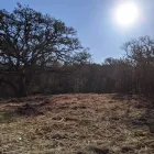 Business 6 image SANDERS UNLIMITED Land Clearing Company in Kingsland TX