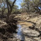 Business 9 image SANDERS UNLIMITED Land Clearing Company in Kingsland TX