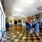 Business 19 image SCHOOL OF ROCK Schools in Las Vegas NV