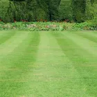 Business 2 image SCOTT'S LAWN & LANDSCAPE SERVICE Lawn Care Service in Lovington IL