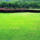 Business 3 image SCOTT'S LAWN & LANDSCAPE SERVICE Lawn Care Service in Lovington IL