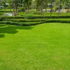 Business 5 image SCOTT'S LAWN & LANDSCAPE SERVICE Lawn Care Service in Lovington IL