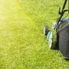 Business 1 image SCOTTSDALE LANDSCAPING CO. Landscapers in Scottsdale AZ