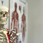 Business 1 image SEATTLE CLINICAL MASSAGE SCHOOL Massage Schools in Seattle WA