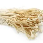 Business 2 image SEIKI HOUSE Vegan Restaurant in San Jose CA