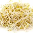 Business 5 image SEIKI HOUSE Vegan Restaurant in San Jose CA