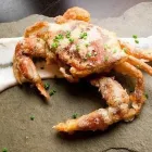 Business 10 image SEIKI HOUSE Vegan Restaurant in San Jose CA