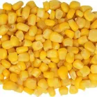 Business 13 image SEIKI HOUSE Vegan Restaurant in San Jose CA