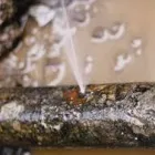 Business 2 image SENOR PLUMBING & LEAK DETECTION PROS, A/C REPAIR Leak Detection in Denton TX