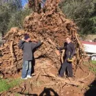 Business 19 image SERVICE NOW PLUMBING Pumps & Pumping Equipment in Roseville CA