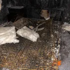 Business 1 image SERVPRO OF CENTRAL OKLAHOMA CITY Mold Testing & Removal in Oklahoma City OK