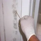 Business 7 image SERVPRO OF EVERGREEN PARK / SOUTH CHICAGO CITY Water Damage Restoration in Chicago IL