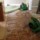Business 24 image SERVPRO OF EVERGREEN PARK / SOUTH CHICAGO CITY Water Damage Restoration in Chicago IL